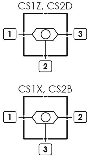 CS1Z